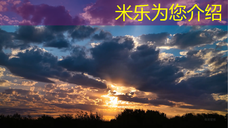 <strong>米乐为您介绍：陇南塑胶跑道复合型</strong>